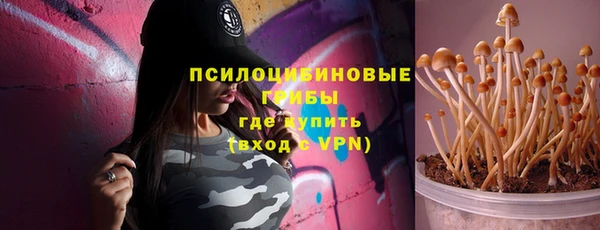 бошки Няндома
