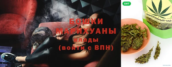индика Новокубанск
