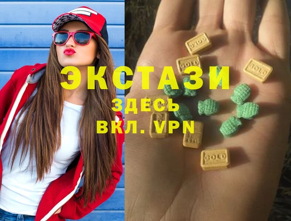 индика Новокубанск