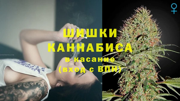 Альфа ПВП Новодвинск