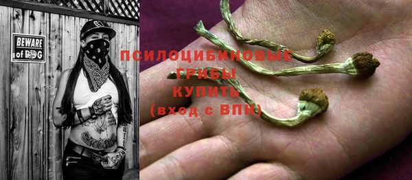 индика Новокубанск