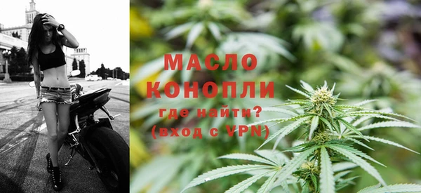 индика Новокубанск