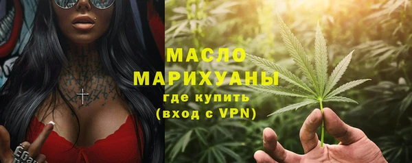 индика Новокубанск